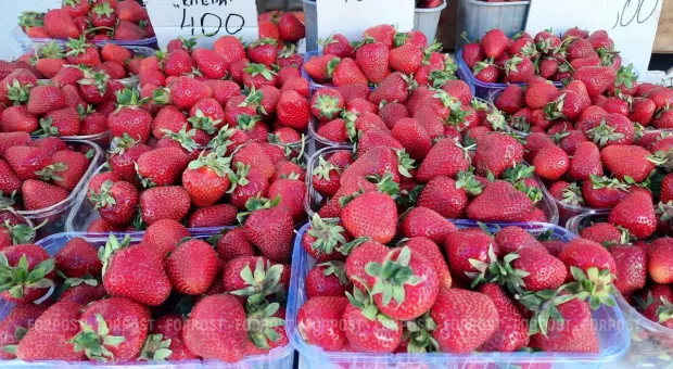 Новости Севастополя - Сенаторы и судьи возмутились, что получают штрафы с камер, как обычные водители