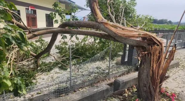 Мировые новости - Пятница 16:00. Прямой эфир «На троих». Искушение взяткой/ Умный ритейл будущего/ Чаевые для Ozon