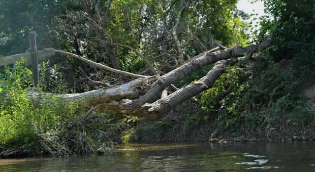 Новости Севастополя - В Севастополе очистят от завалов еще одну речку