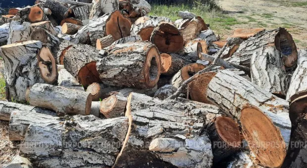 Новости Севастополя - Скандальная севастопольская стройка получила юридический иммунитет 