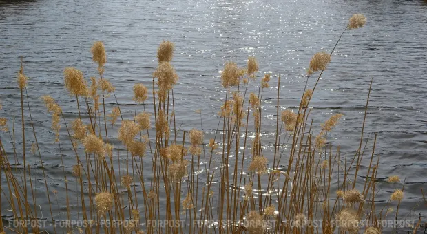Новости Севастополя - Новая волна ковида придет в Севастополь через две недели 