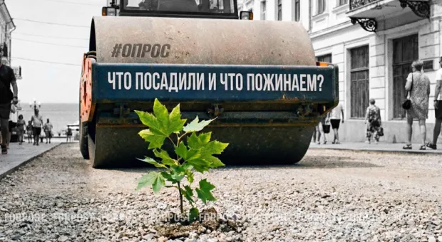 Новости Севастополя - Как маркетплейсы становятся Бабой-Ягой, которой пугают покупателей 