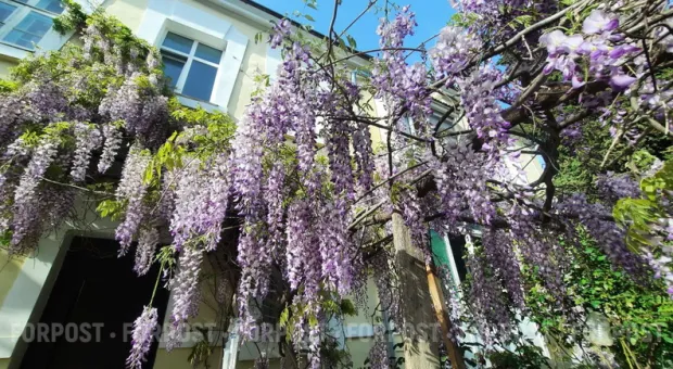 Новости Севастополя - Севастопольский Пенсионный фонд принял участие в проведении «Дня информации»