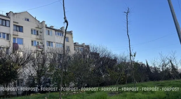 Новости Севастополя - Крымскому «невидимому» отцу напомнили о сыне через суд