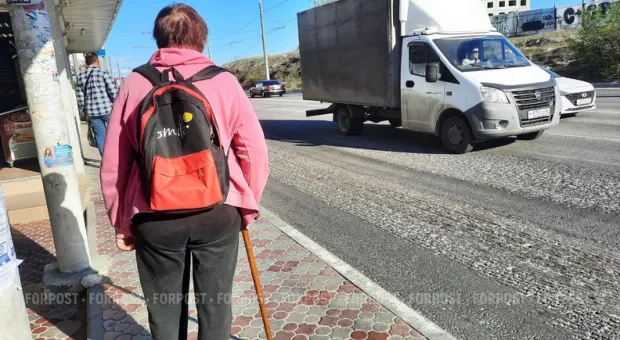 Новости Севастополя - «Что означает деликатес из лебедей?»