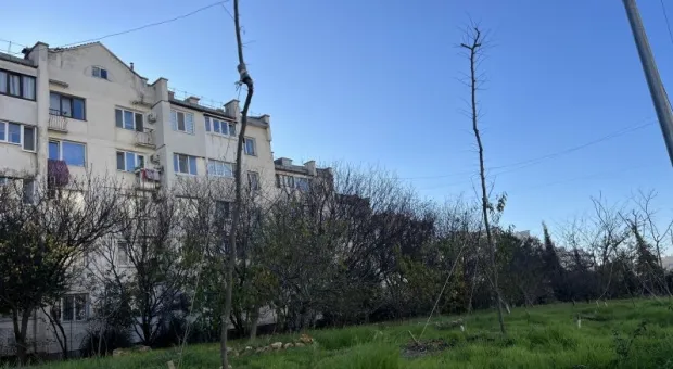 Новости Севастополя - Крымскому «невидимому» отцу напомнили о сыне через суд