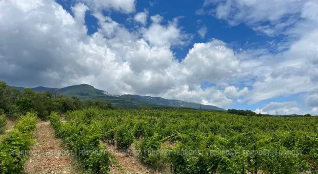 Новости Севастополя - Отопительный сезон в Севастополе прекращается с 1 апреля 2008 года. Но не для всех