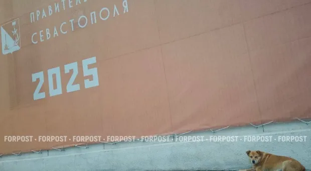 Новости Севастополя - 