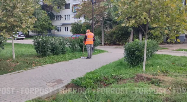 Новости Севастополя - Beeline открывает эксклюзивный офис в Севастополе