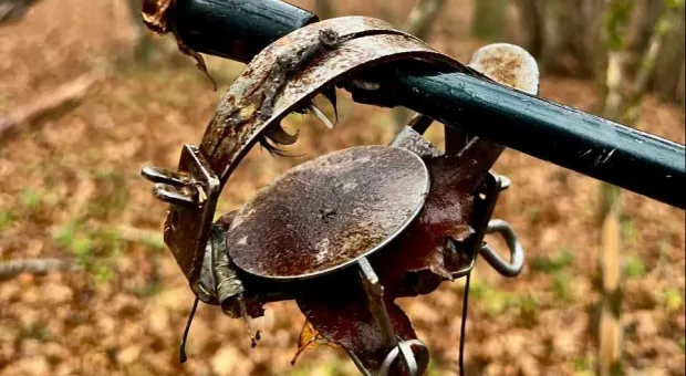 Новости Севастополя - Что подталкивает россиян к большему чеку на маленькие радости