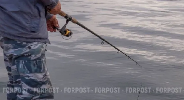 Новости Крыма - Китай и американская соя: кто выигрывает торговую войну