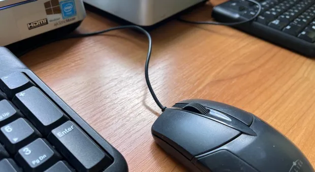 Новости России - Почему жестокое обращение с животными в Крыму редко доходит до суда