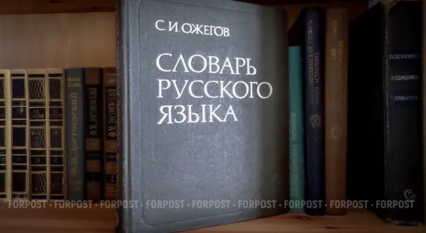Новости Севастополя - Пикетчики требовали отставки руководителя КП «Севгоррынхоз»