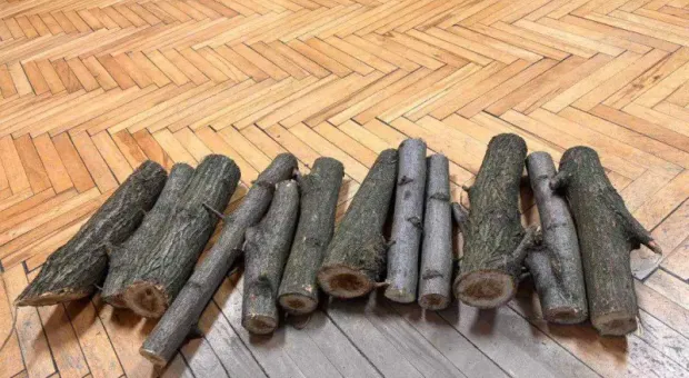 Мировые новости - Автобусный маршрут на Северную сторону Севастополя станет постоянным