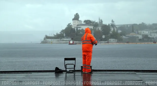 Новости Севастополя - Ректор МГУ: филиал в Севастополе никто не сможет заставить перейти на украинский язык