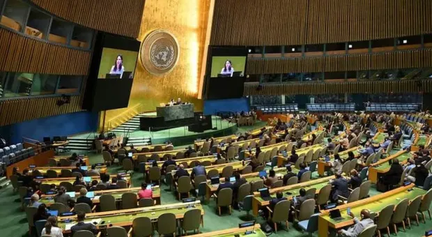 Мировые новости - Севприроднадзор впервые сам высаживает деревья на улицах Севастополя