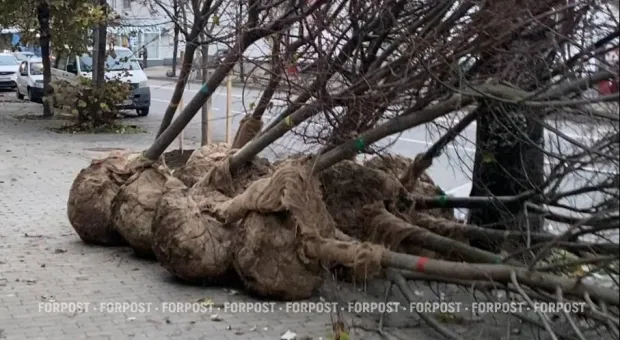 Новости Севастополя - Новый нефтяной танкер, идущий в Новороссийск, атакован в Чёрном море