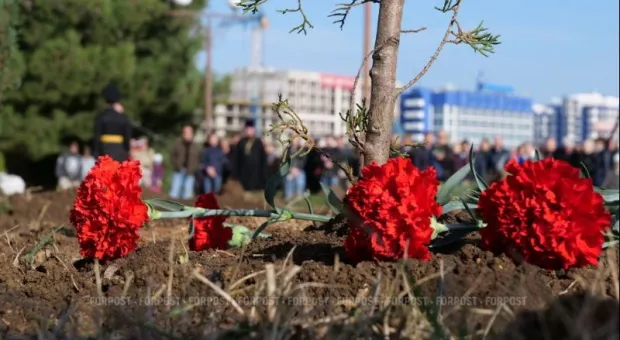 Новости Крыма - 