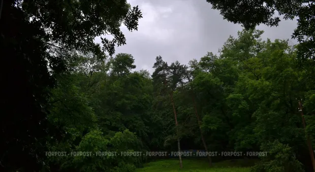 Новости Севастополя - Дело забора на мысе Айя может получить неожиданное продолжение