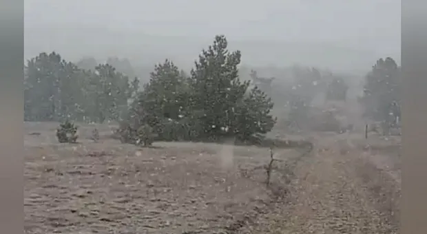 Новости Крыма - 