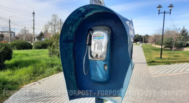 Новости Севастополя - Саратов признался, что готов работать под руководством Ющенко