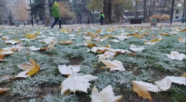 Новости Крыма - Учёные установили, что сильнее всего влияет на продолжительность жизни