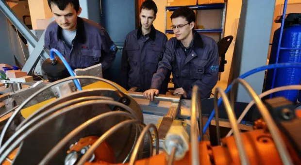 Новости России - Не бабочкой единой: что губит деревья Севастополя