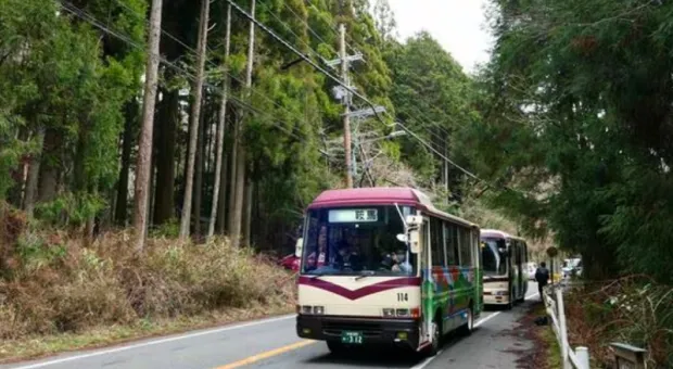Мировые новости - Что злит водителей в севастопольских пассажирах? — репортаж ForPost