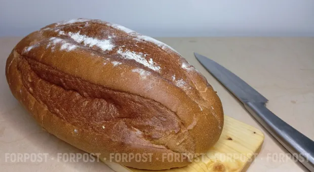 Новости Севастополя - Имя им _ «Легион»…, или как обманывают севастопольцев псевдопатриоты