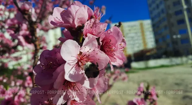 Новости Севастополя - Россияне проиграли в конкурсе на право реставрации музея подлодок в Балаклаве