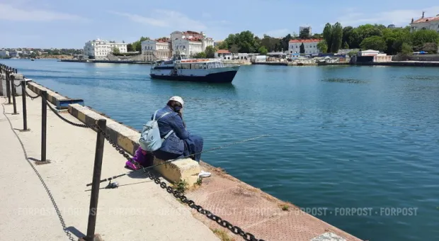 Новости Севастополя - Начальник Севастопольского морского торгового порта посетил выставку в Венеции