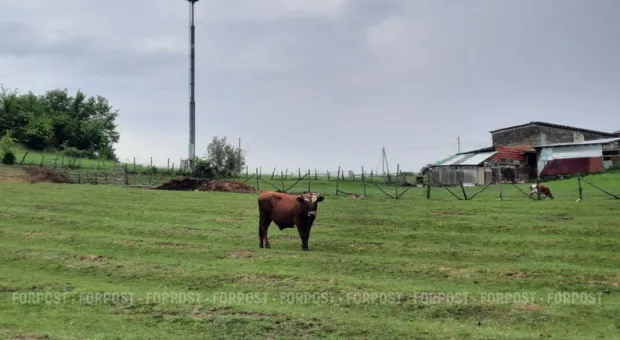 Новости Севастополя - В Севастополе мало безработных, чтобы комплектовать ВМС контрактниками