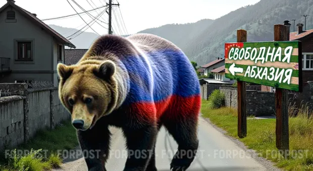 Новости Севастополя - В центре Севастополя 50 человек митингуют в поддержку председателя СГГА Куницына