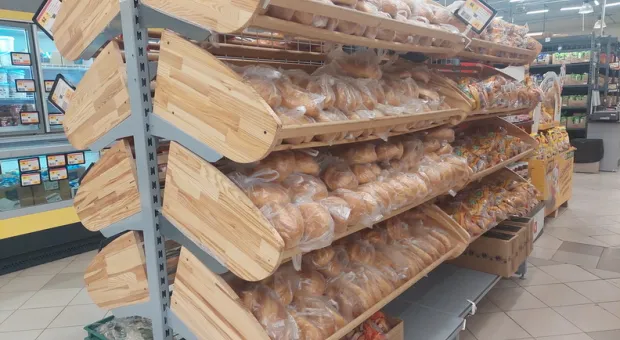 Новости Севастополя - Педагоги Мелитополя побывали на экскурсии в Севастополе, Херсонесе и в Балаклаве