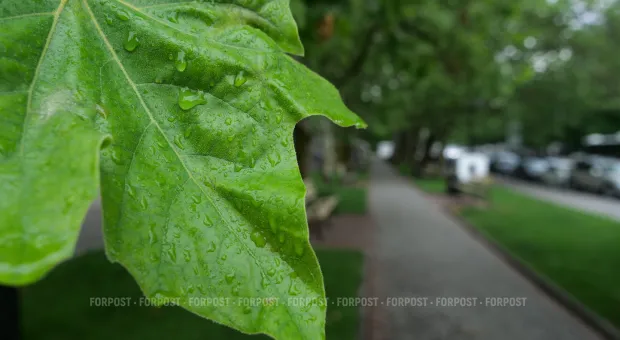 Новости Севастополя - «Ступени великанов» в Немецкой балке Севастополя станут концепцией