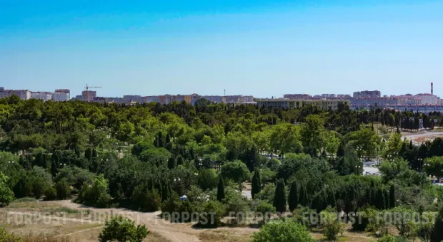 Новости Севастополя - Издатели рассказали, что будет с ценами на книги в 2026 году