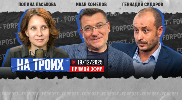 Новости Севастополя - ОКН мешает убрать болото к спорткомплексу на Северной стороне Севастополя 