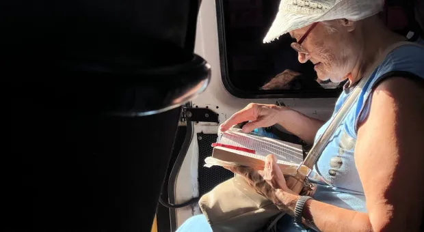 Новости России - 