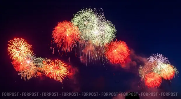 Новости Севастополя - Жертвы праздника: почему салюты смертельны для крымских птиц 