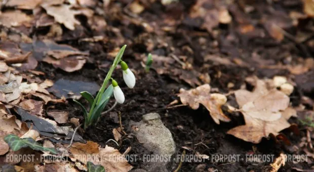 Новости Крыма - 