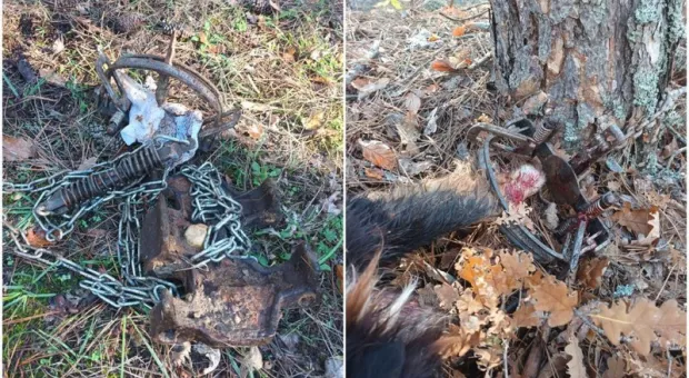 Новости Крыма - В Великобритании Санта-Клауса сочли слишком расистским и мужественным