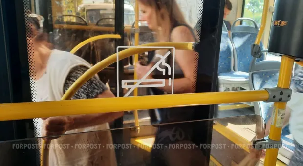 Новости Севастополя - Соматиполог рассказала о новом главе Севастополя Михаиле Развожаеве