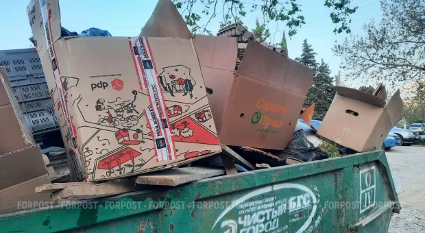 Новости Севастополя - В госзакупке проектирования парка Победы есть признаки сговора