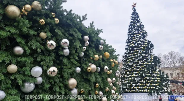 Новости Севастополя - 