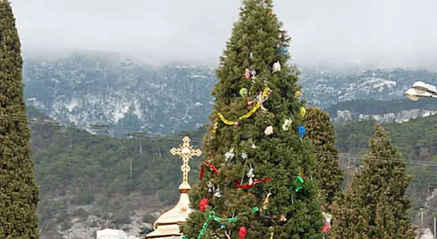 Новости Крыма - 