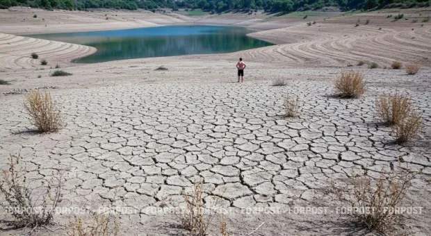 Новости Крыма - Всё больше людей предпочитают чат-ботов «реальным» друзьям