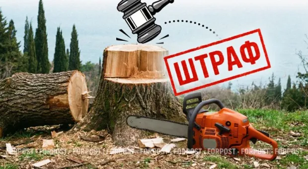 Новости Крыма - 