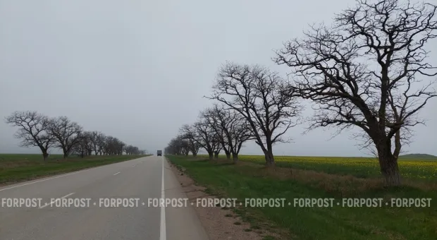 Новости Крыма - Лондонских покупателей испугали русскоязычные батончики «Сникерс»