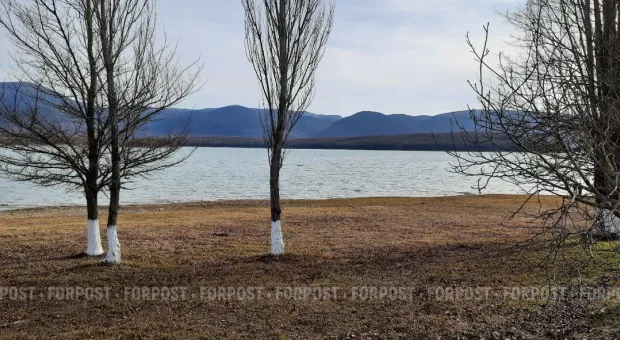 Новости Севастополя - Что сажают на Большой Морской в Севастополе 