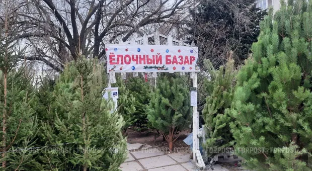 Новости России - Крым ждёт погодный удар со снегом и метелями